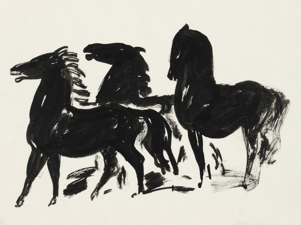 Three Black Horses Sketch