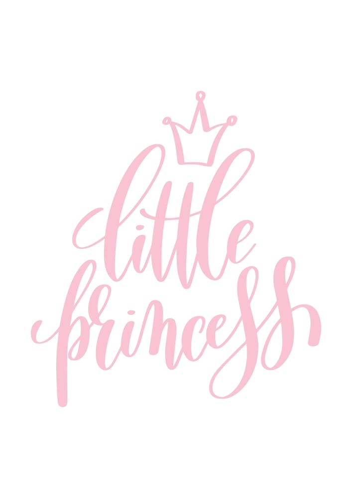 Little Princess Pink