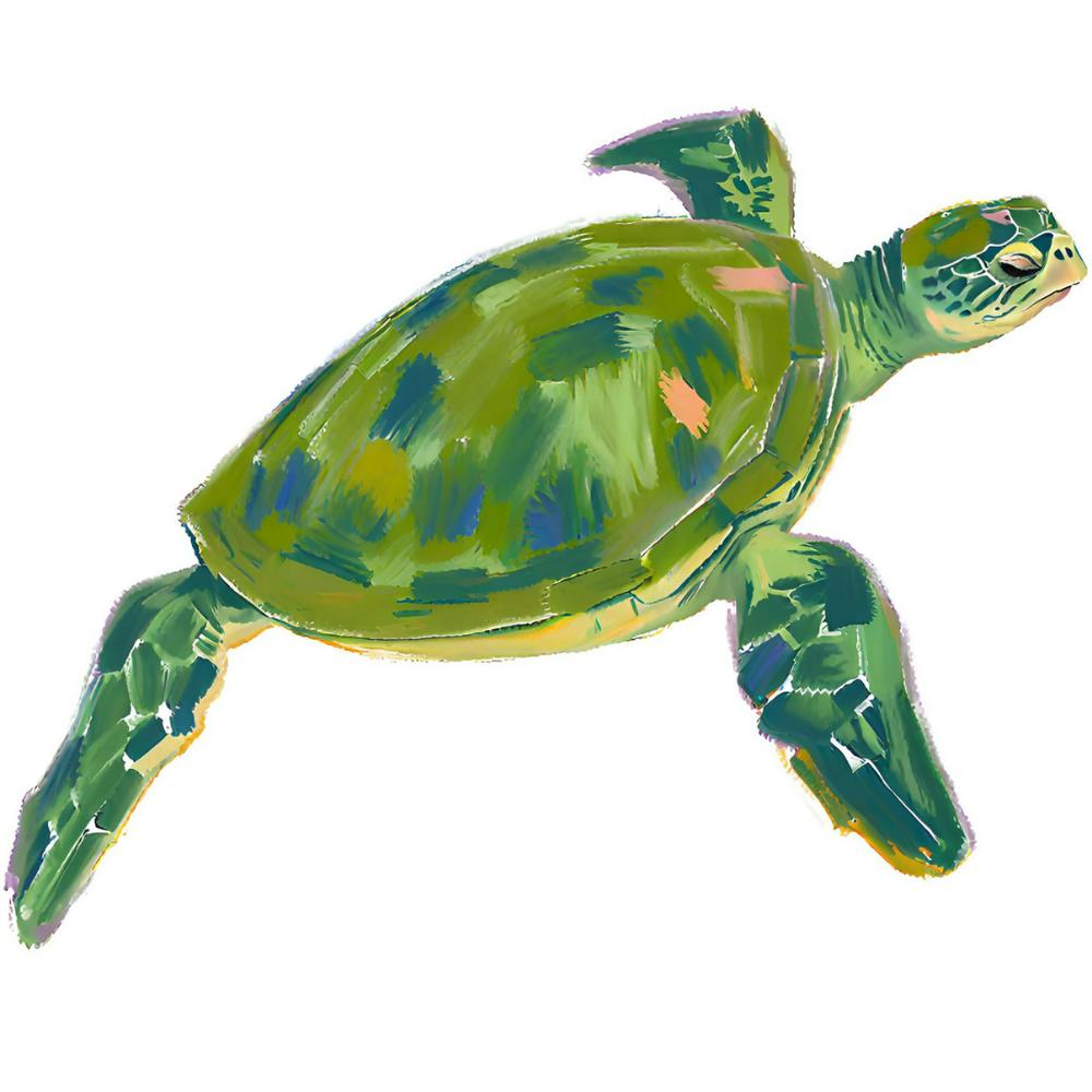 Green Sea Turtle 06