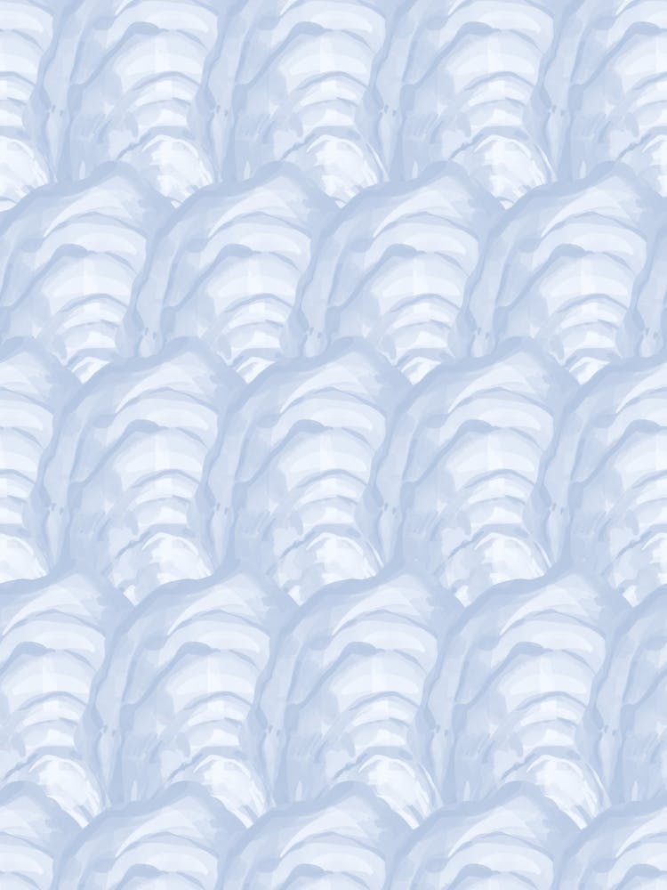 Oyster Shells