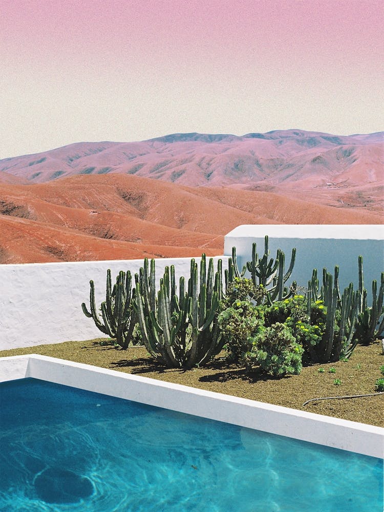Cactus Garden With A Pool