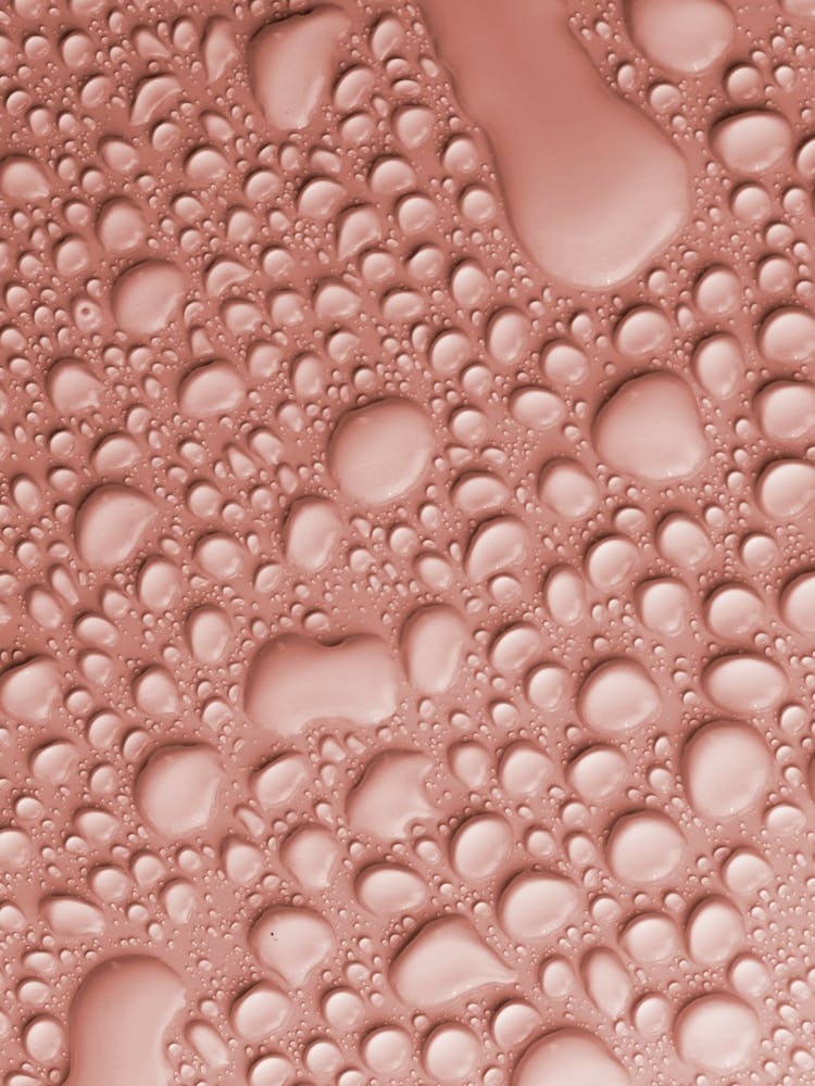 Pantone Color Of The Year 2024 USA Peach Fuzz