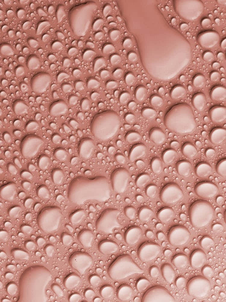 Pantone Color Of The Year 2024 USA Peach Fuzz