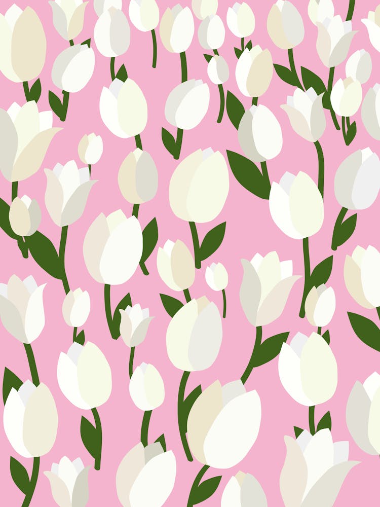 Tulip Field | 07 – Pink
