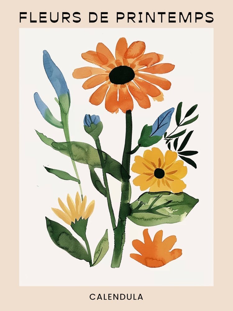 Spring Floral French Poster  Calendula 1
