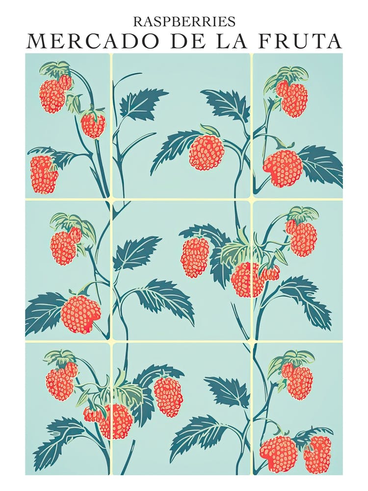 Mercado De La Fruta Framboises Illustration 3 Affiche