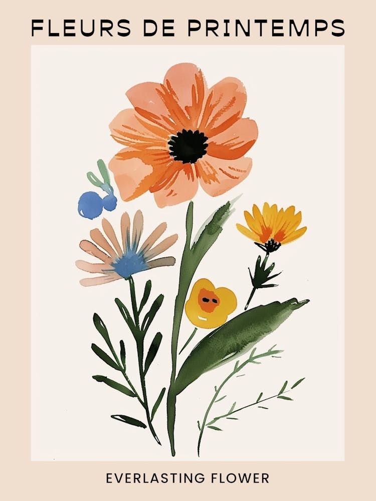 Spring Floral French Poster  Everlasting Flower 2