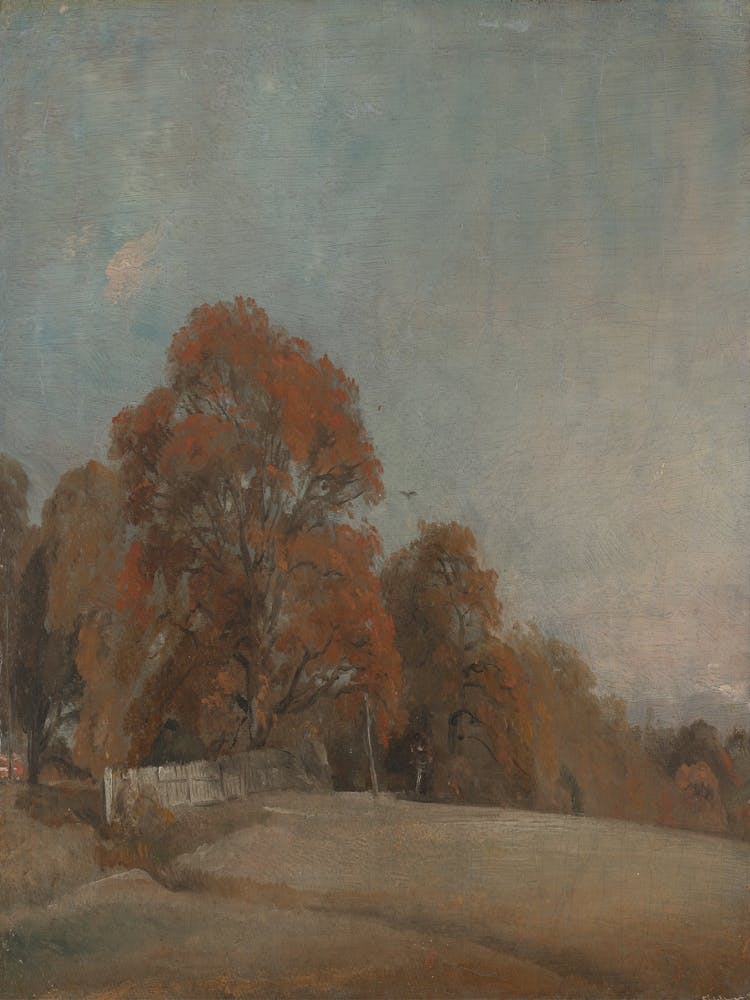 Field In Autumn