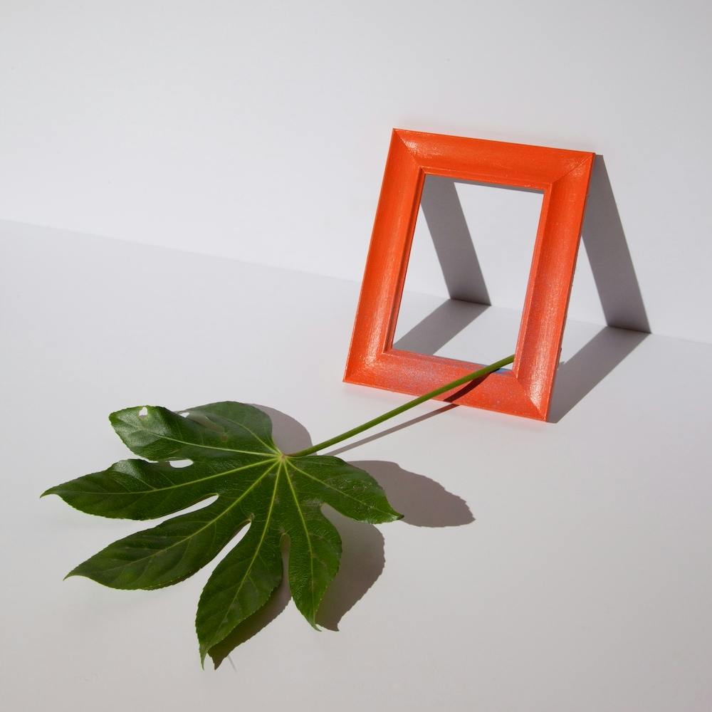 The Orange Frame.