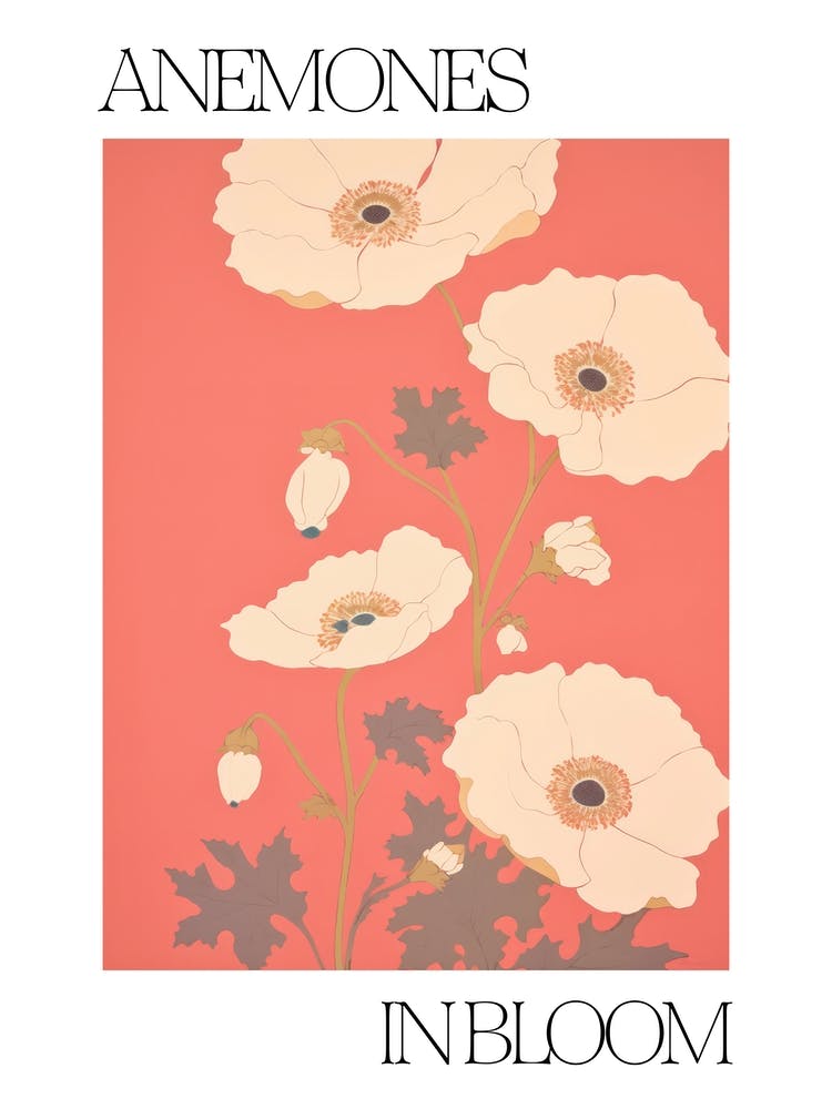 Anemones In Bloom Flowers Bold Illustration 2