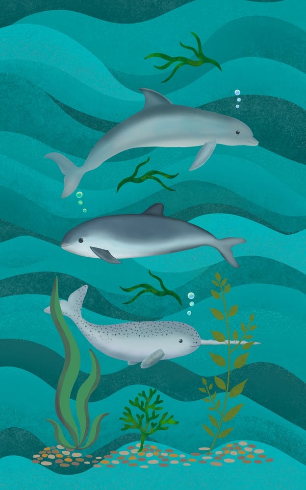 Dolphin, Narwhal And Porpoise Underwater