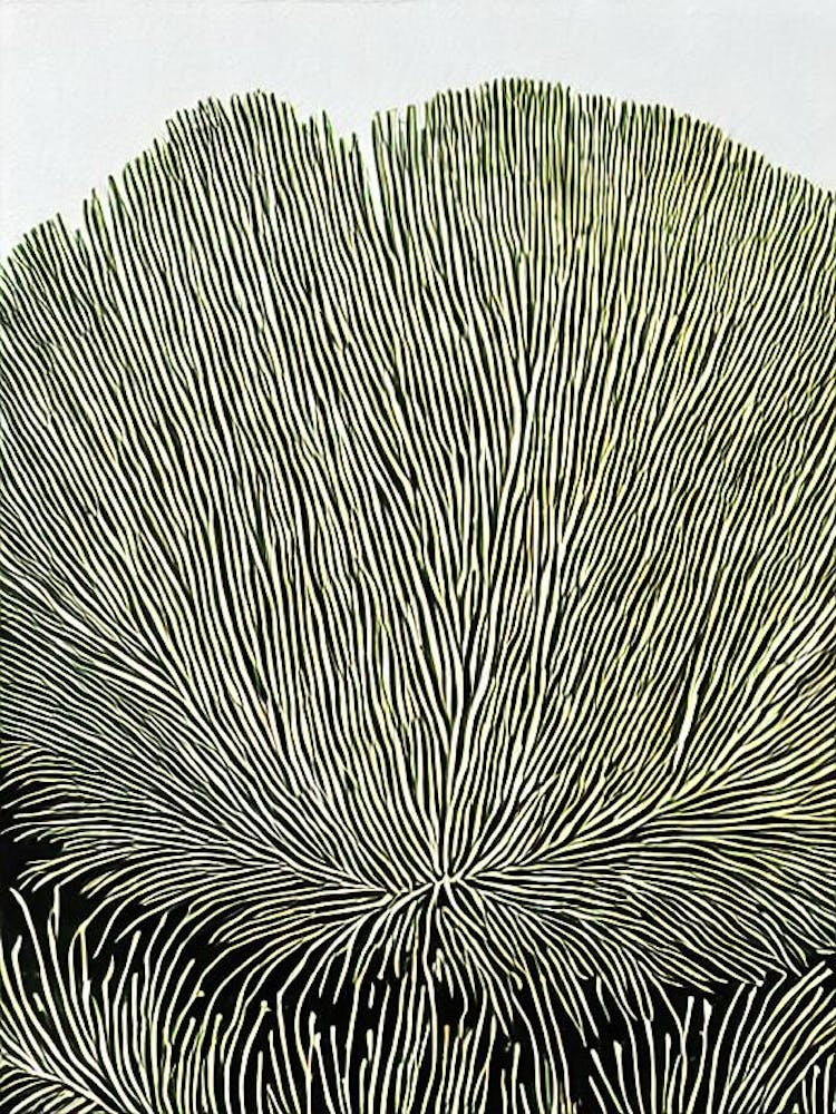 Acropora Gemmifera Linocut