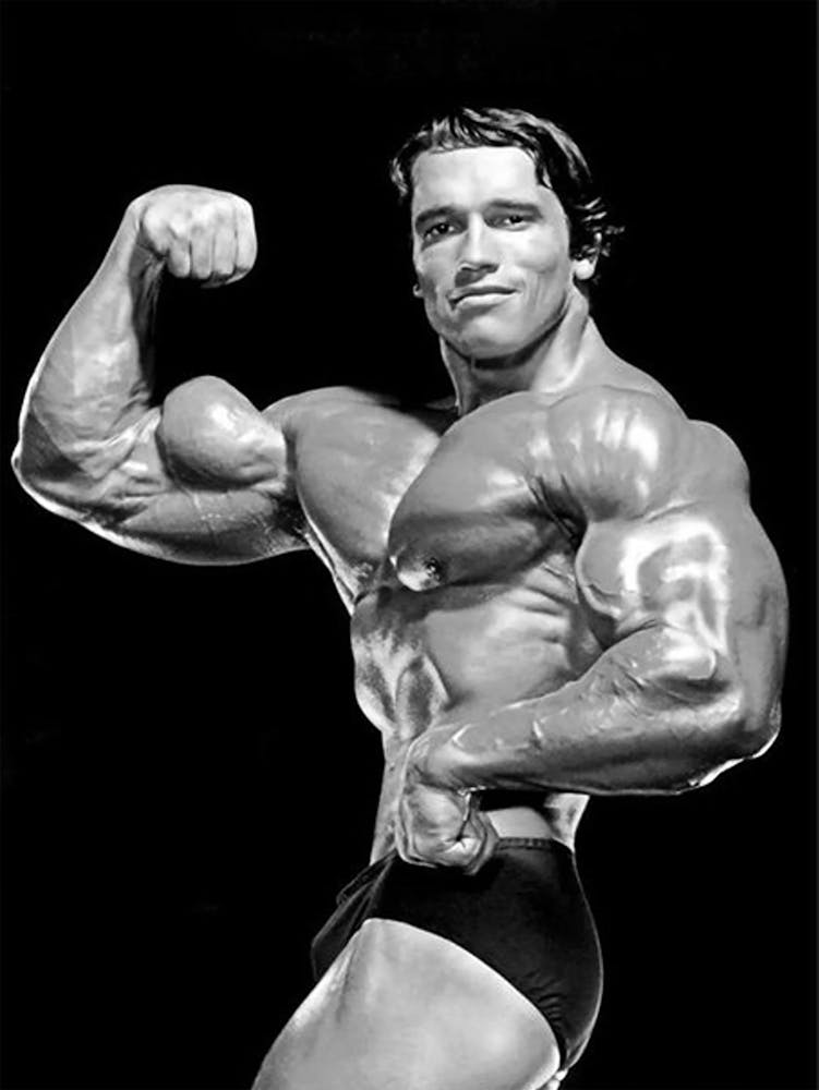Arnold Schwarzenegger Bodybuilding 2