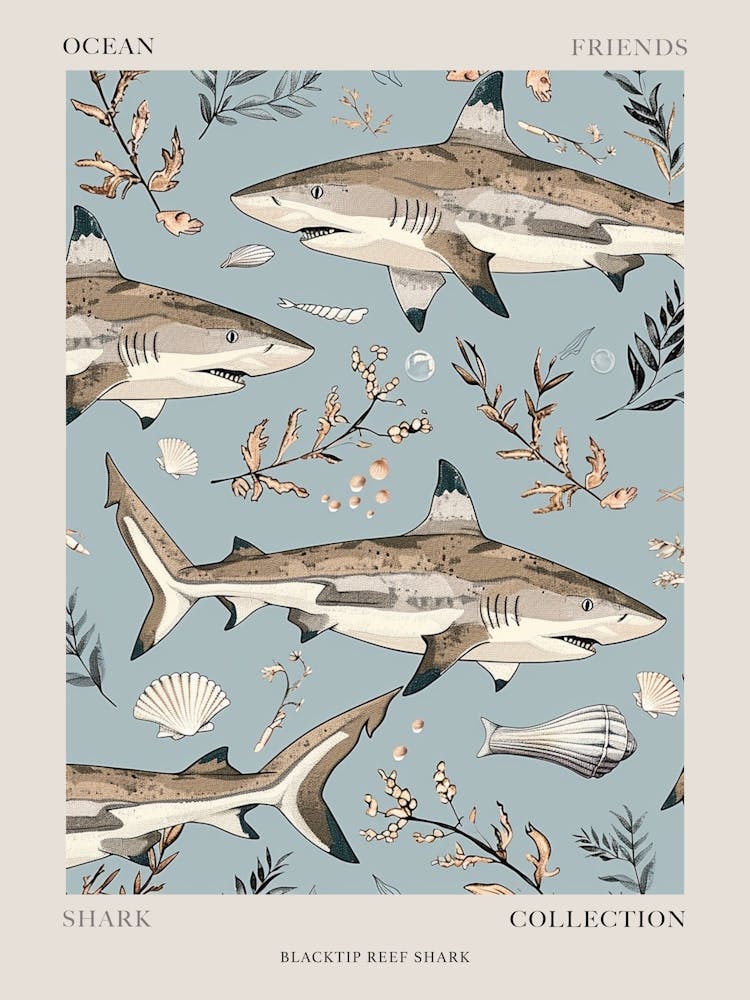 Sword-billed Hummingbird