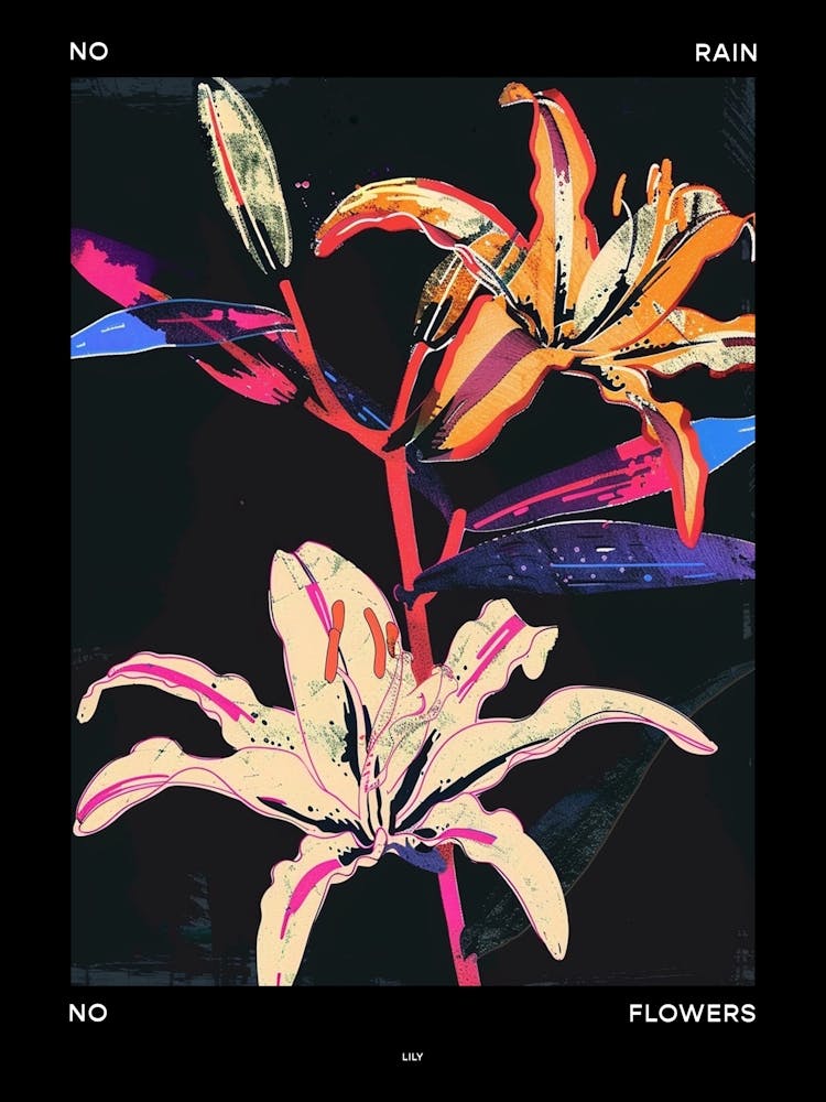 No Rain No Flowers Poster Lily 2