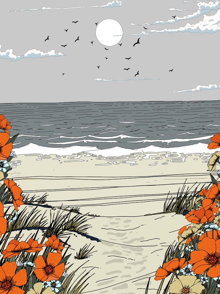 Poppies On The Beach