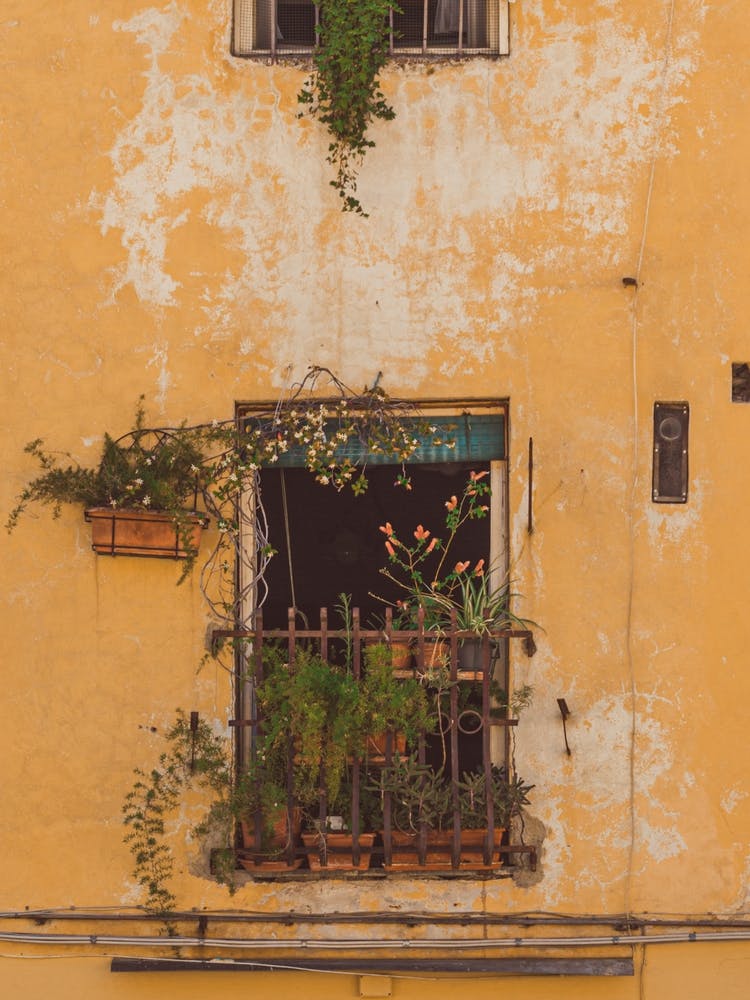 Window In Rome