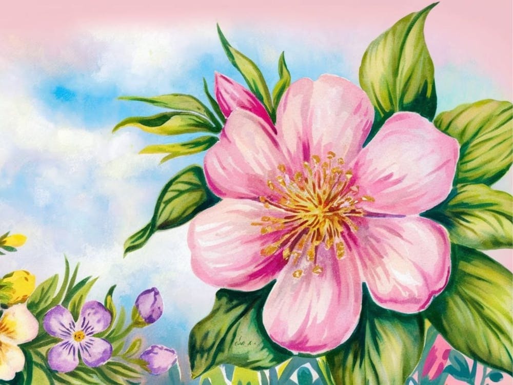 Pink Flowers On A Pink Background