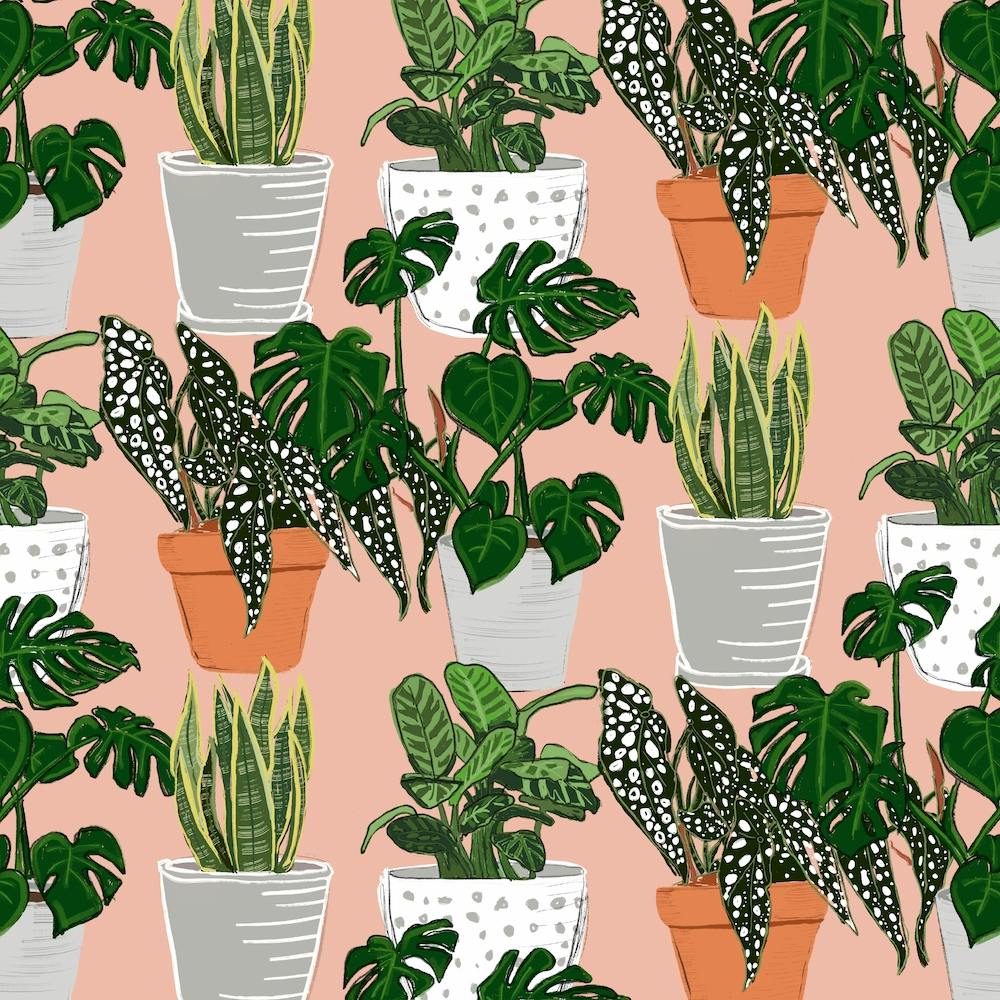 Indoor Garden Pink Square