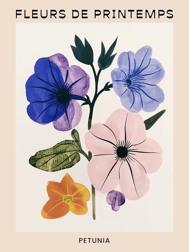 Spring Floral French Poster  Petunia 4