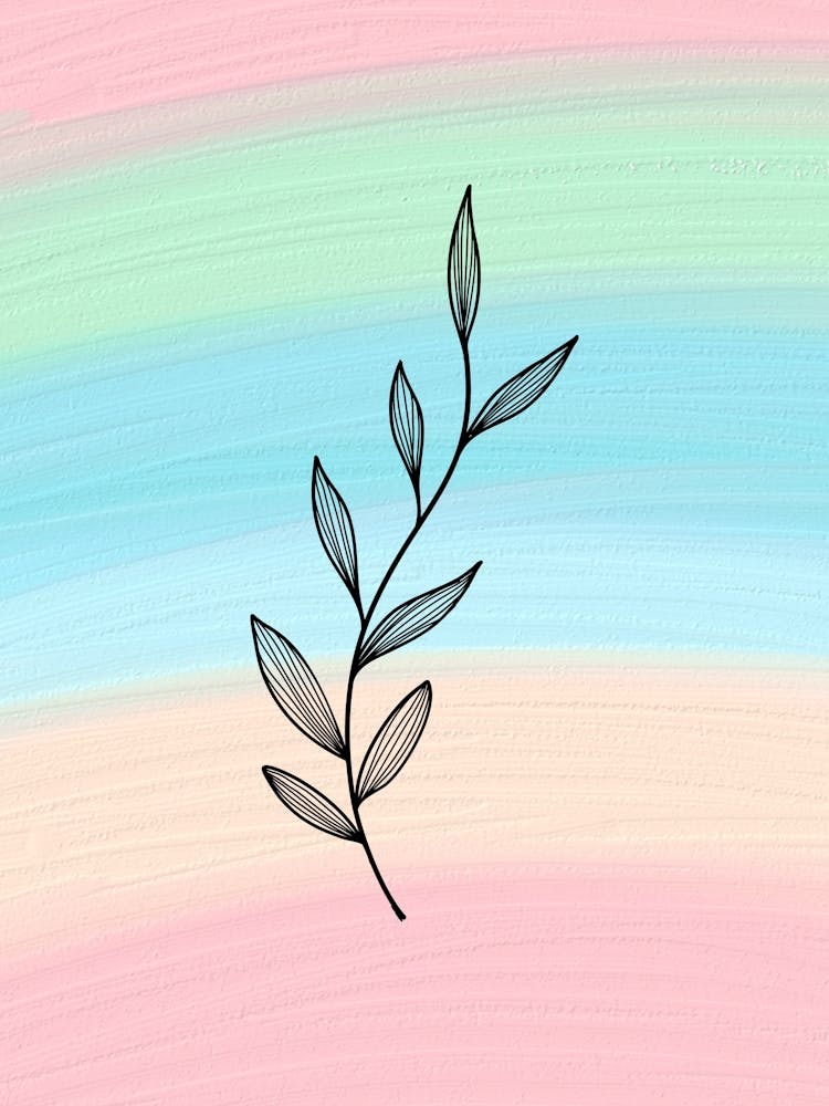 Leaf On A Rainbow Background