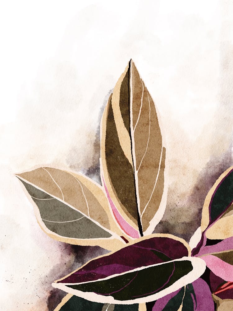 Watercolor Ficus Botanical Leaves 2