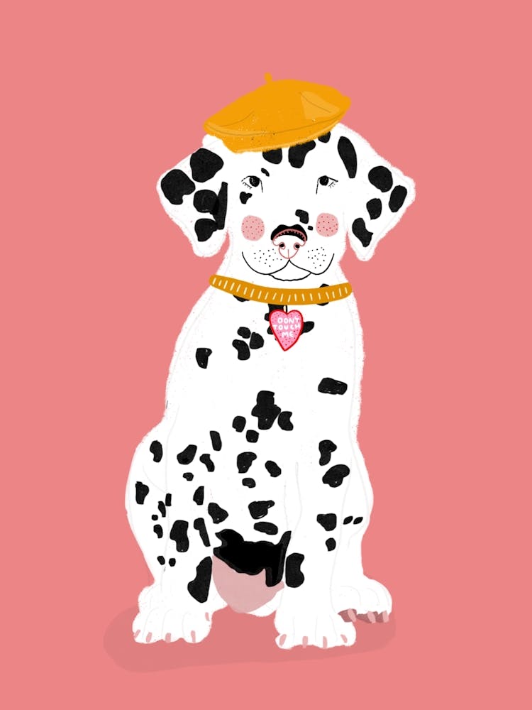 Dalmatien