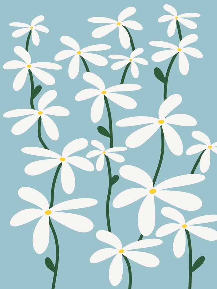 Blue Daisy Meadow