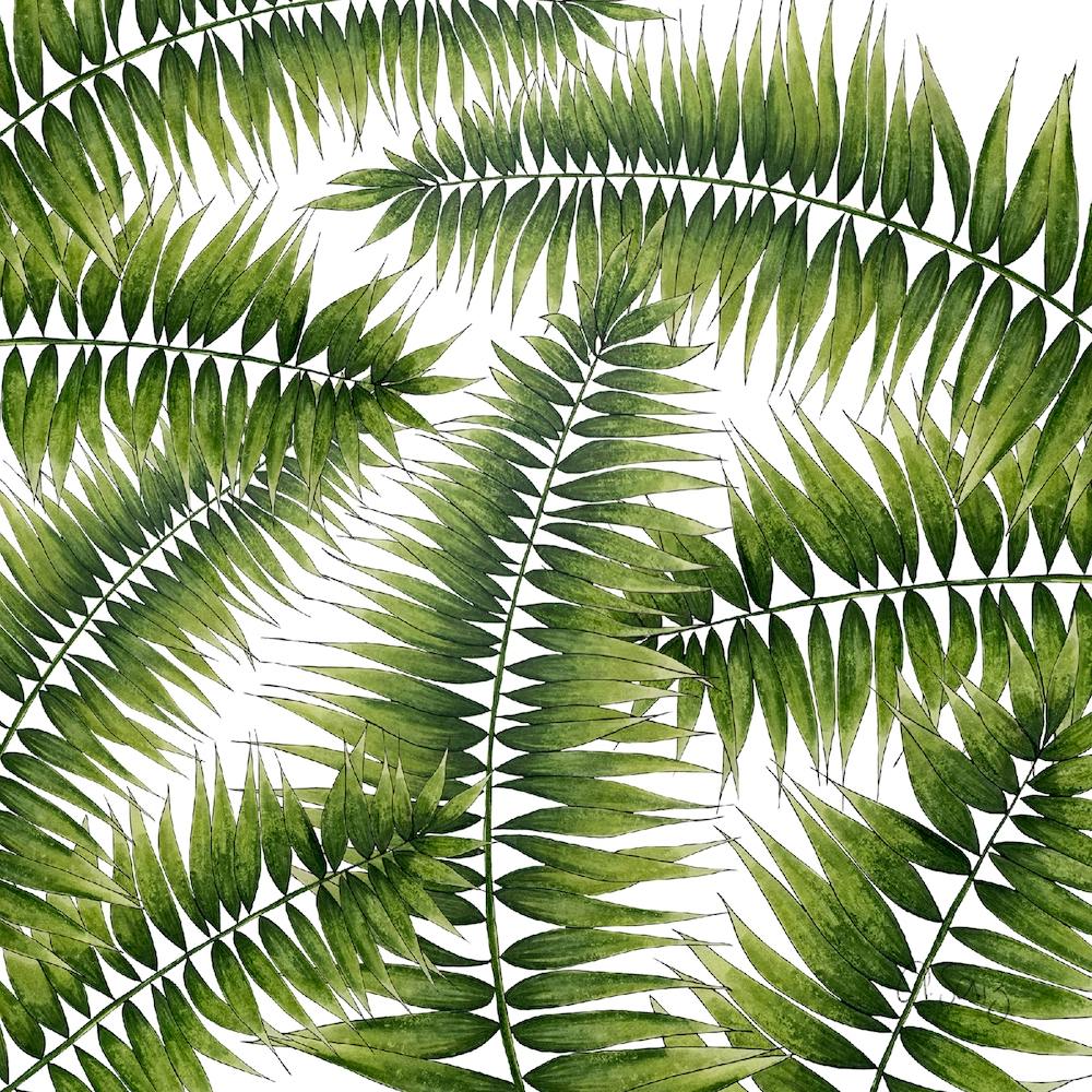 Palms 1