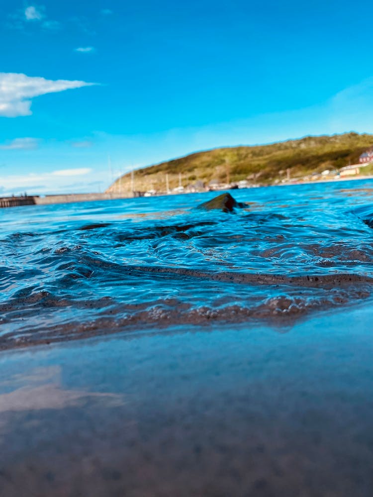 Ca3957fd A201 41d6 Aab1 Cf3abf199476