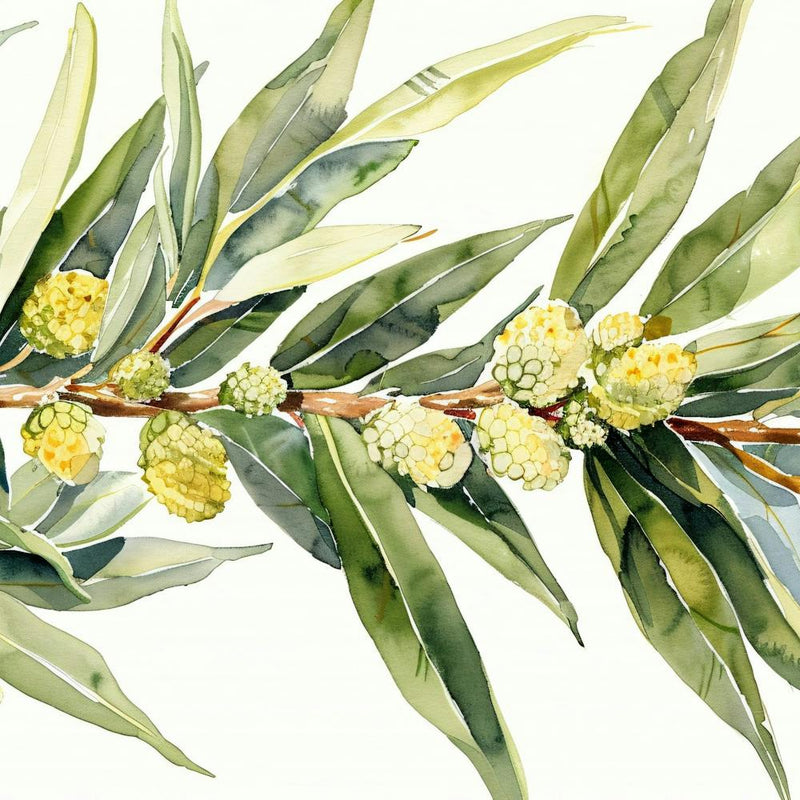 Eucalyptus Branch 1