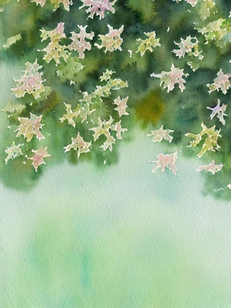 Acropora Tenuis Storybook Watercolour