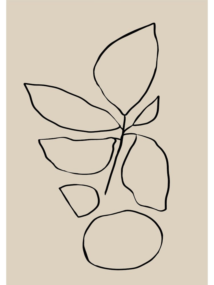 Leaf Line Drawing 1