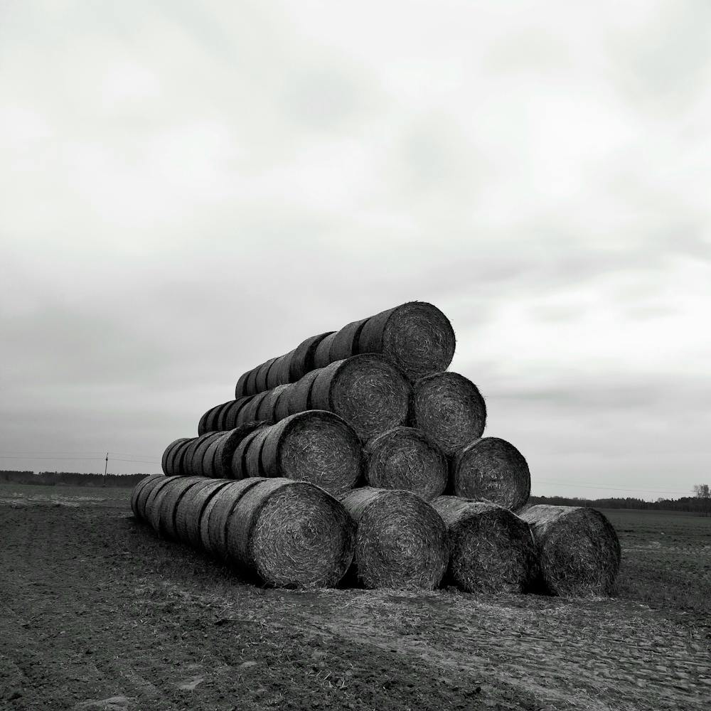 Poland agriculture 1