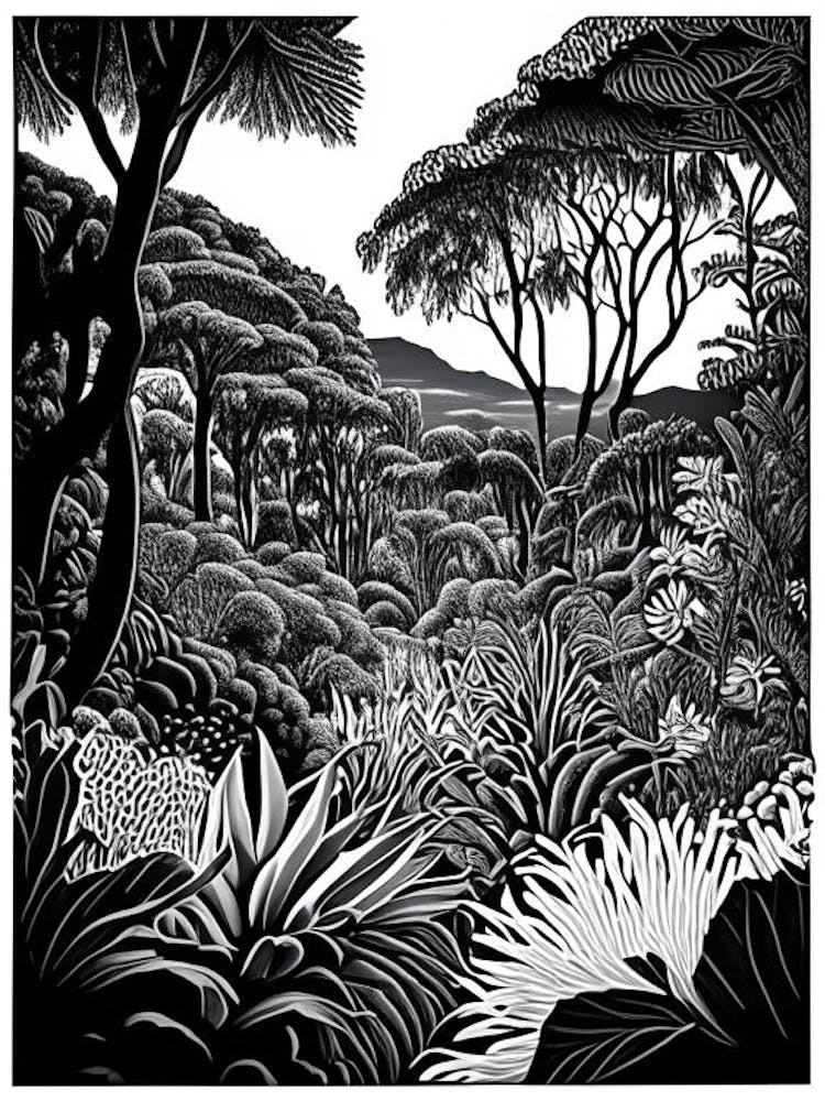 Kirstenbosch Botanical Gardens, 1, South Africa Linocut Black And White Vintage