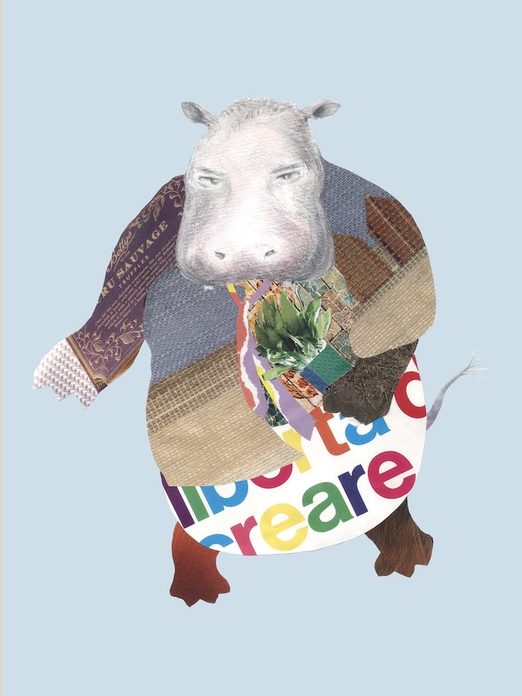 Spring Hippo