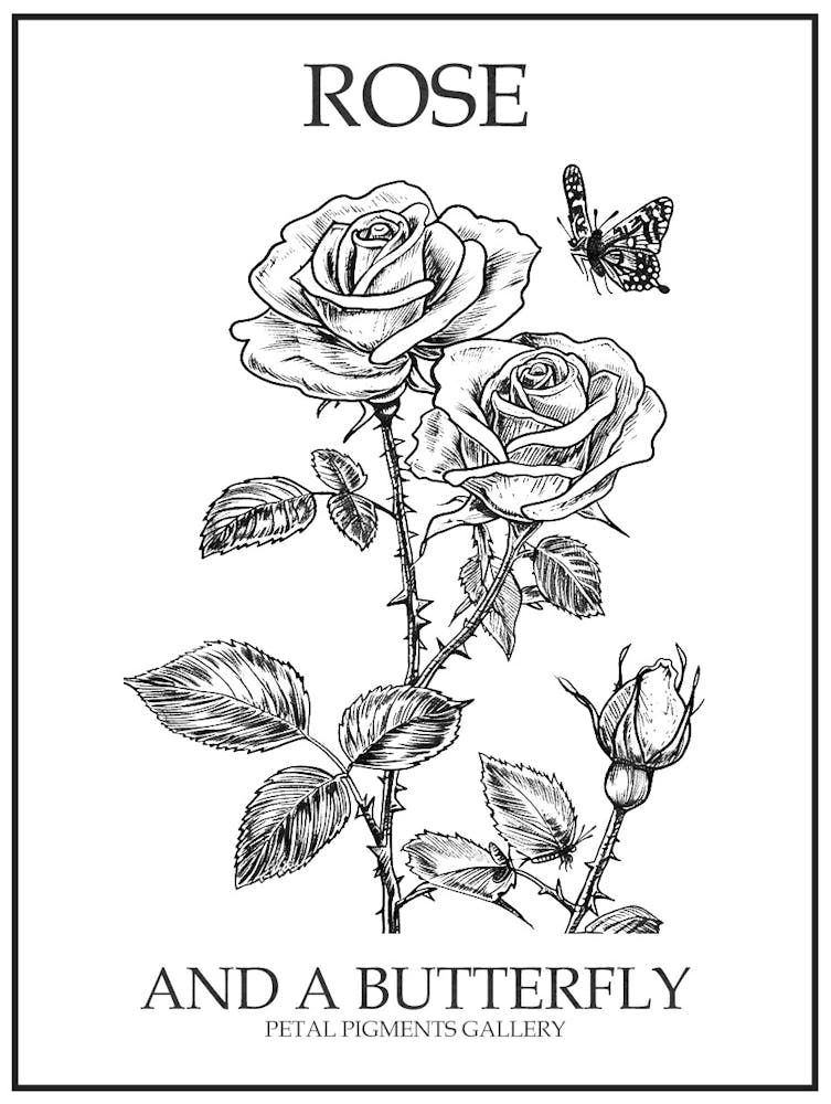 Butterfly Rose Line Drawing 3 Poster