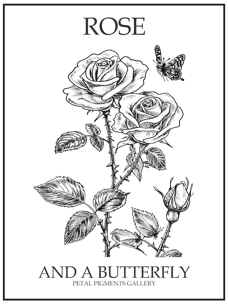 Butterfly Rose Line Drawing 3 Poster