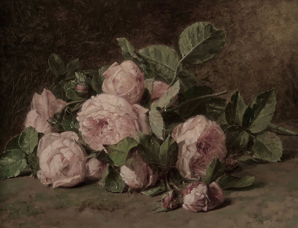 Roses 6