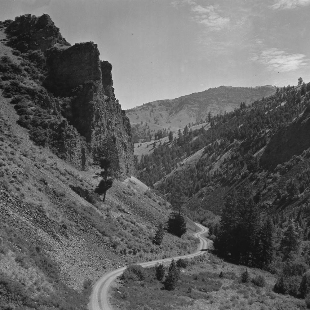 Lemhi County, Idaho, Road Down Williams Creek Valley By Russell Lee
