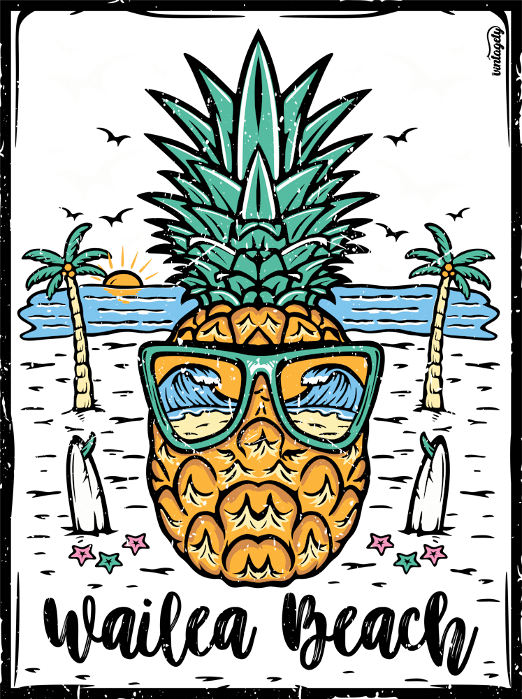 Retro Wailea Beach Maui Hawaii