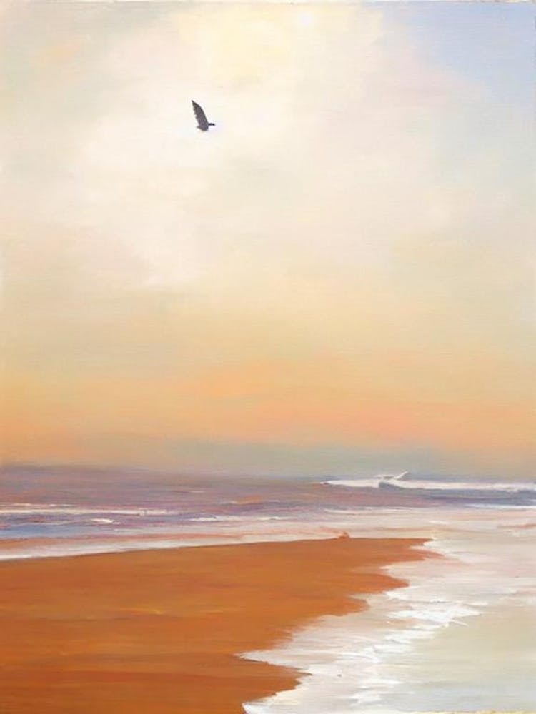 Venice Beach, Los Angeles, California Neutral 1