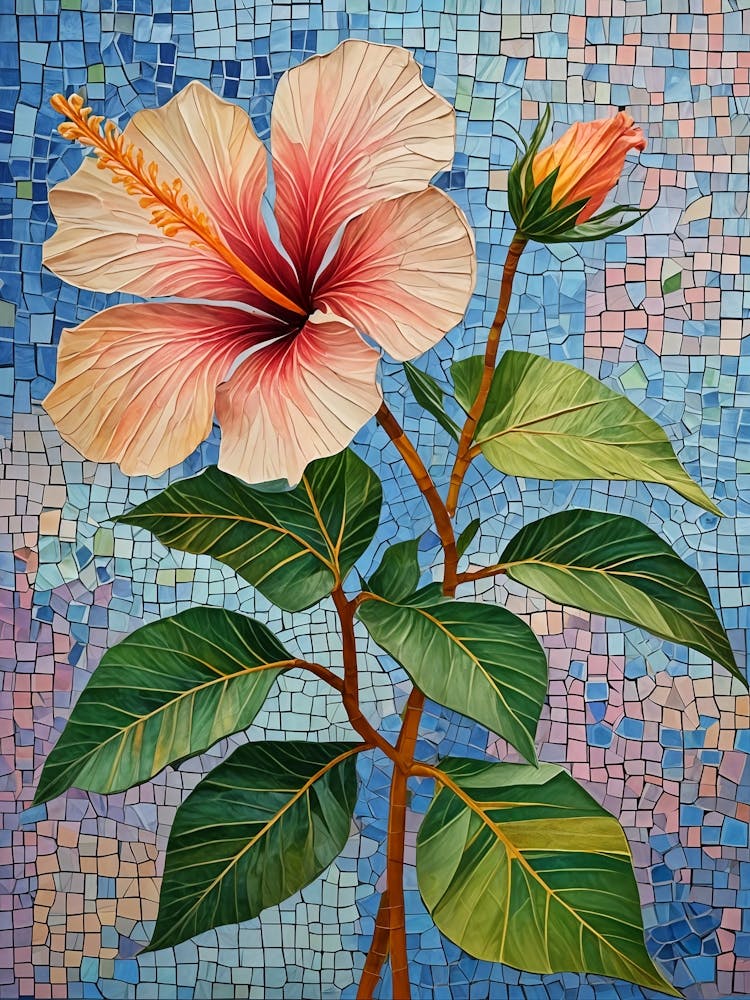 Hibiscus Beauty