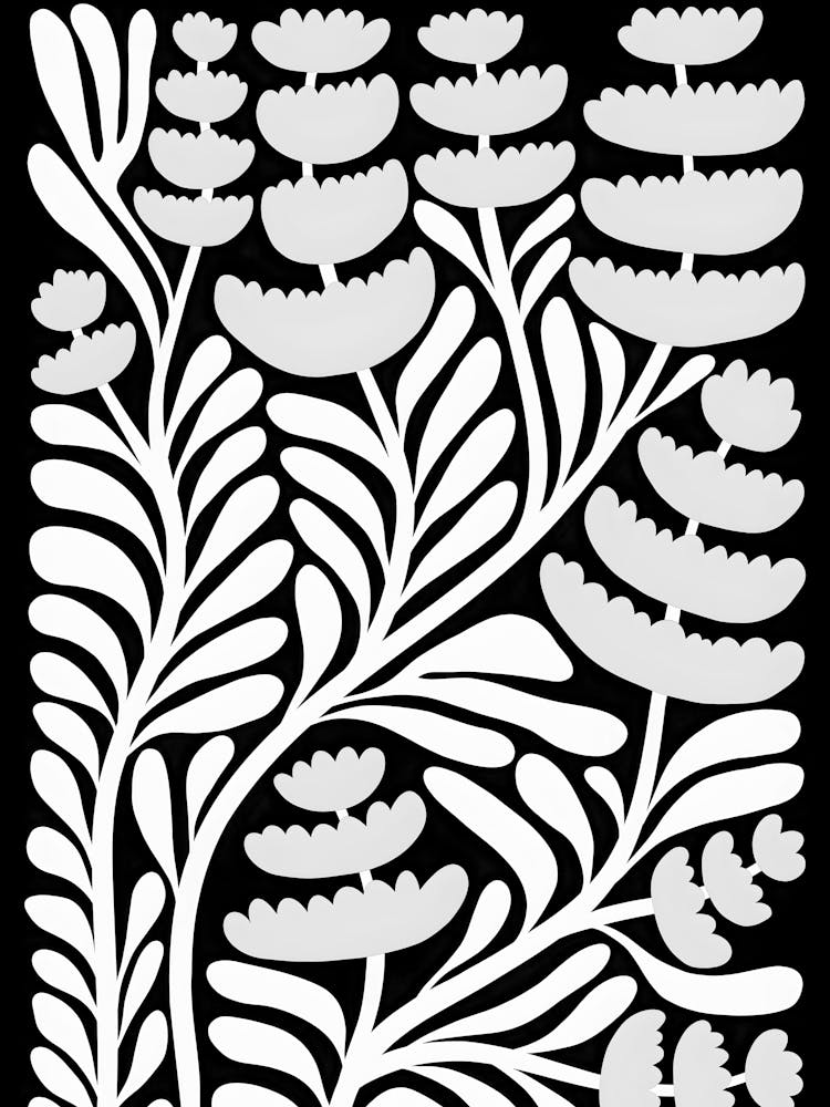Ferns 1