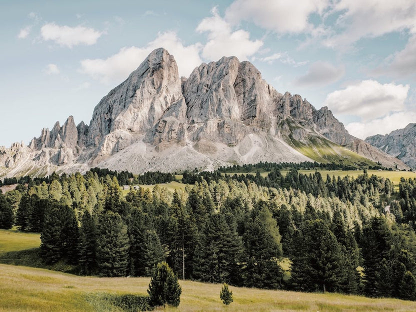 Forest Below Rocky Mountain
