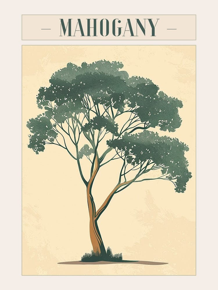 Mahogany Tree Minimal Japandi Illustration 3 Poster
