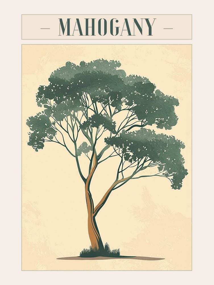 Mahogany Tree Minimal Japandi Illustration 3 Poster