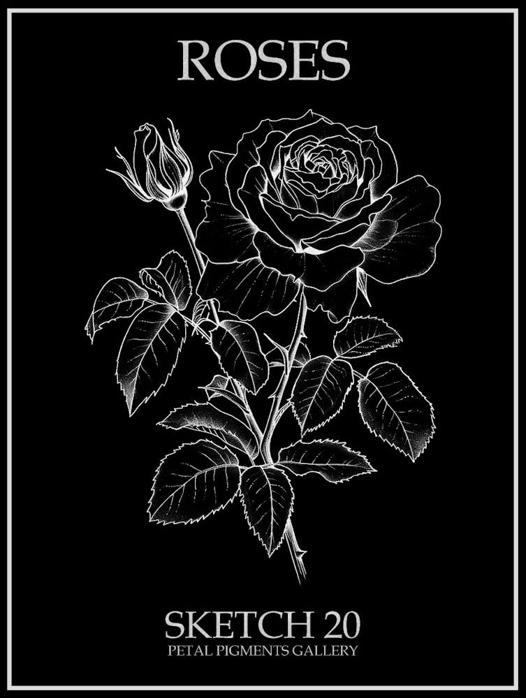 Roses Sketch 20 Poster Inverted