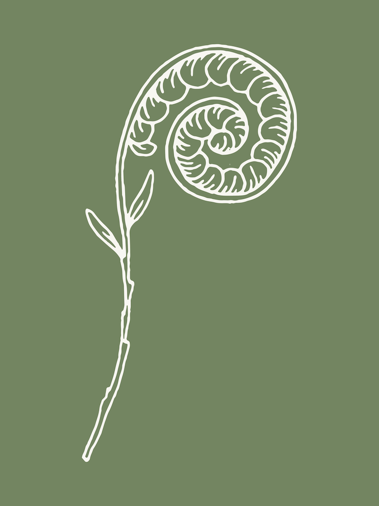 Botanischer Stil Farn