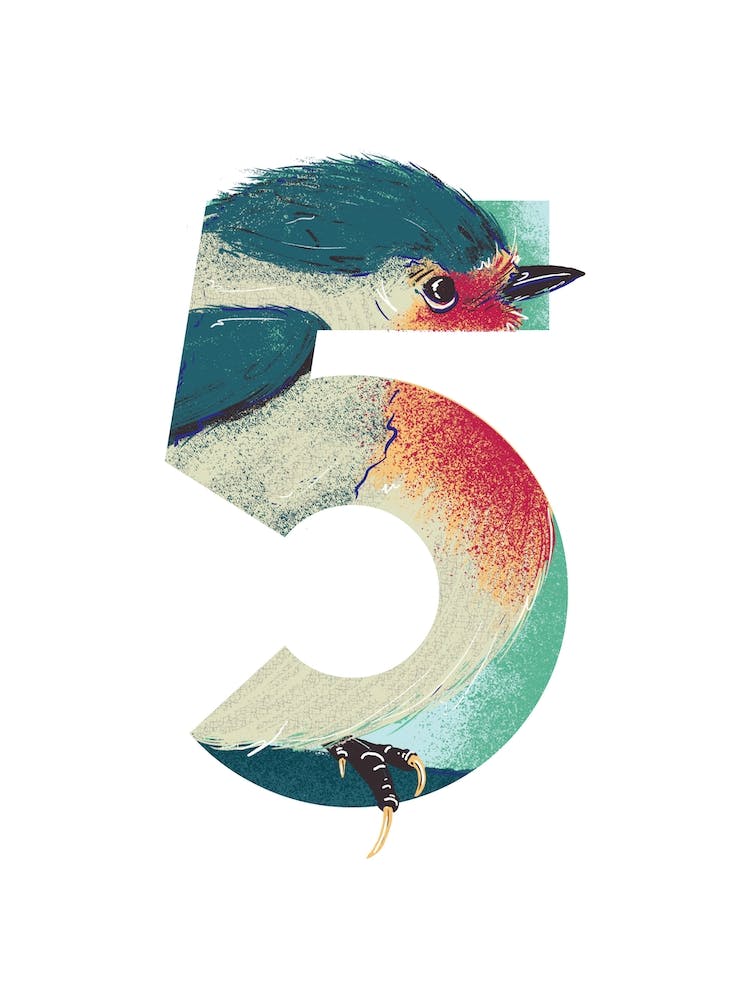 5  Robin 